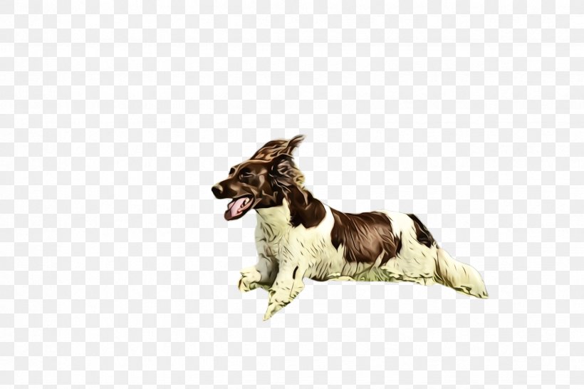Dog Dog Breed Small Münsterländer Sporting Group English Springer Spaniel, PNG, 2448x1632px, Watercolor, Dog, Dog Breed, Drentse Patrijshond, English Springer Spaniel Download Free