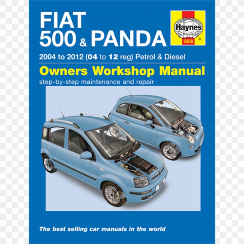 Fiat 500 & Panda: (04-12) 53 To 61 Fiat Punto Fiat Automobiles, PNG, 1200x1200px, Fiat, Advertising, Area, Automotive Design, Automotive Exterior Download Free