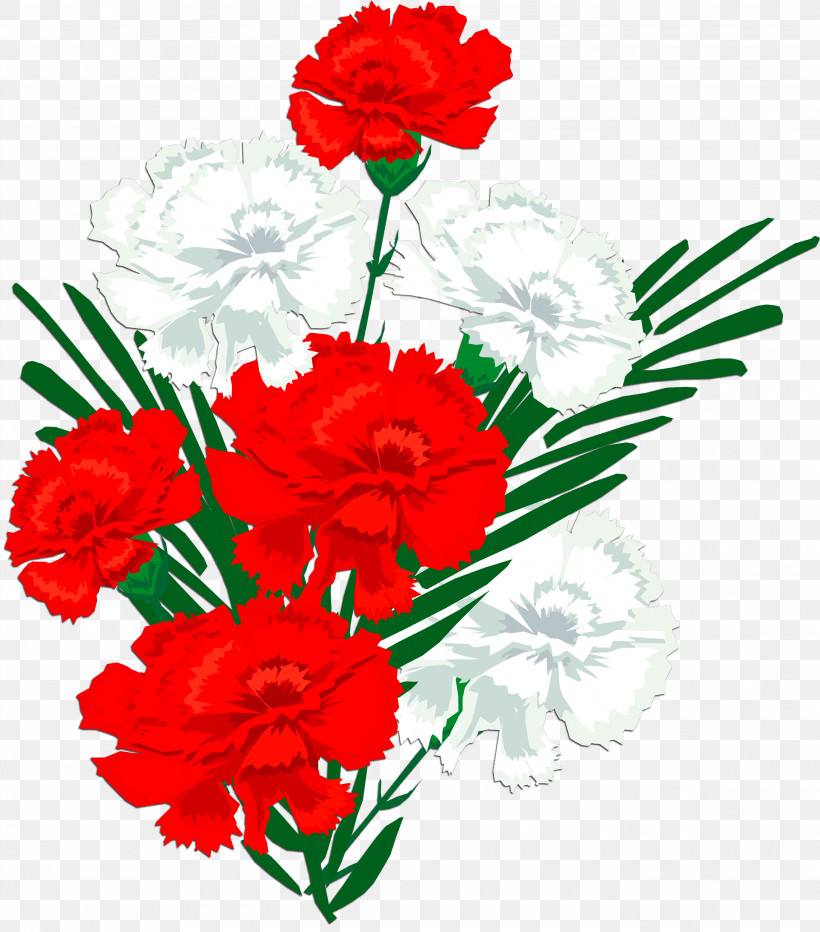 Flower Cut Flowers Red Carnation Plant, PNG, 2637x3000px, Flower, Bouquet, Carnation, Cut Flowers, Dianthus Download Free