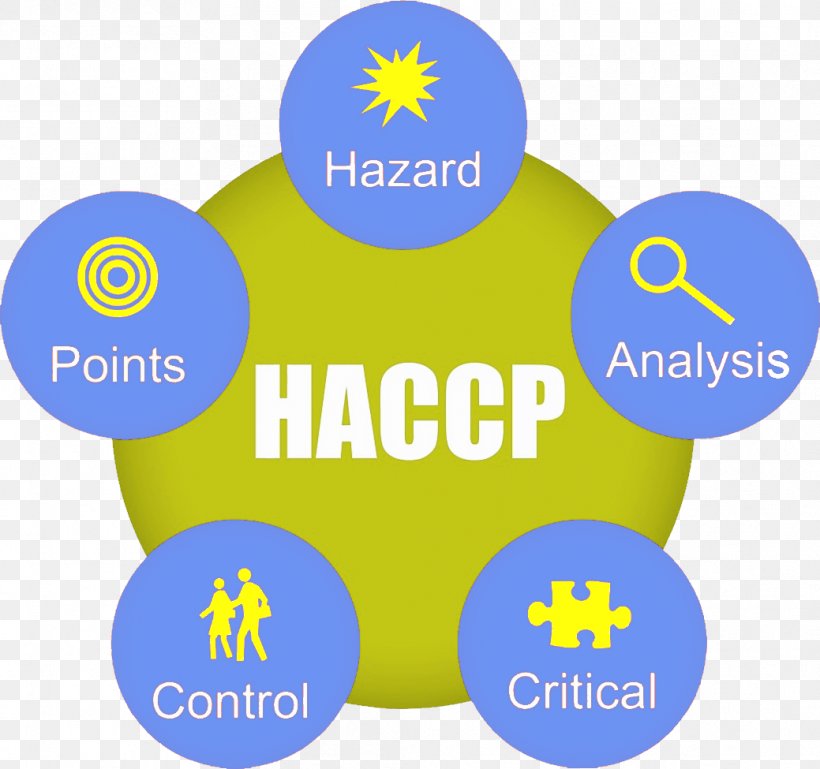 Hazard Analysis And Critical Control Points Safety, PNG, 1039x975px, Critical Control Point, Analysis, Area, Blue, Brand Download Free