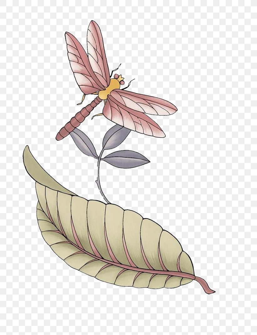 Insect Illustration, PNG, 800x1069px, Insect, Cartoon, Creative Work, Dragonfly, Feather Download Free