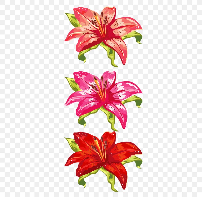 Orange Lily Cut Flowers Sticker Floral Design, PNG, 371x800px, Orange Lily, Cut Flowers, Daylily, Floral Design, Floristry Download Free