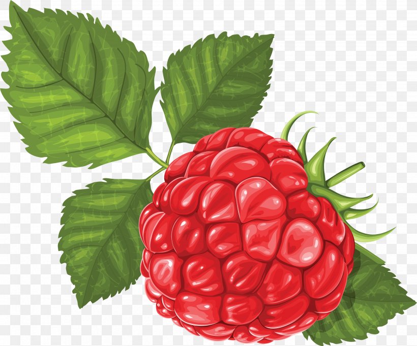 Raspberry Clip Art, PNG, 3514x2920px, Raspberry, Berry, Blackberry, Boysenberry, Cherry Download Free