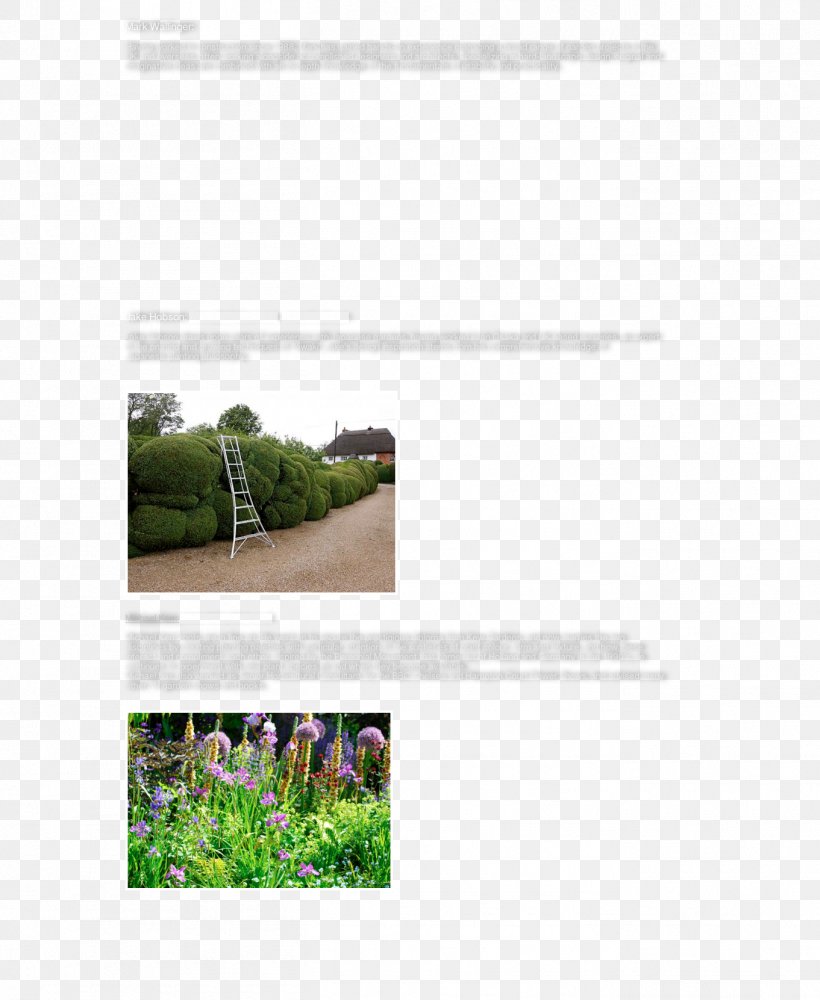 Landscaping Flora Plant Community Land Lot Pruning, PNG, 1361x1661px, Landscaping, Cloud Computing, Community, Ecosystem, Flora Download Free