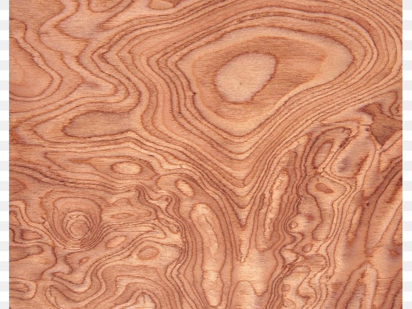 Paper Wood Aastarxf5ngad Tree Plank, PNG, 783x615px, Paper, Designer, Floor, Flooring, Plank Download Free