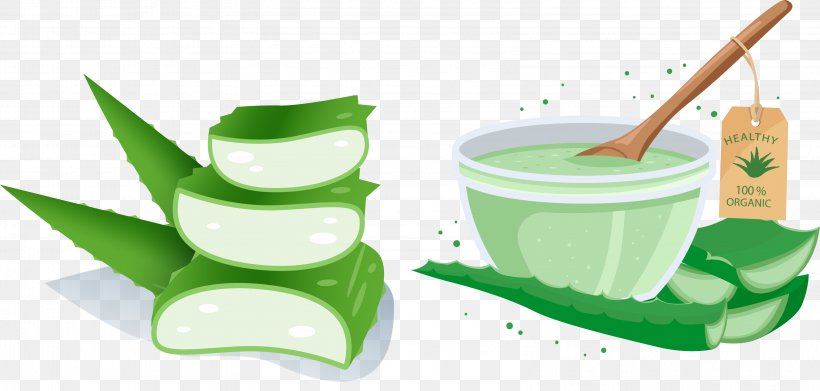 Aloe Vera Vecteur, PNG, 3199x1526px, Aloe Vera, Aloe, Coreldraw, Cup, Gel Download Free