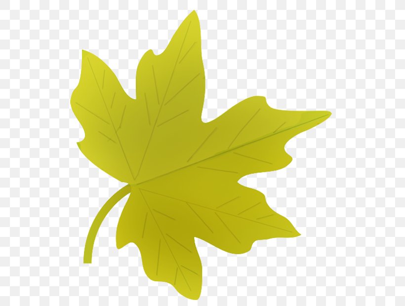 Leaf Autumn Clip Art, PNG, 587x620px, Leaf, Autumn, Autumn Leaf Color, Blog, Green Download Free