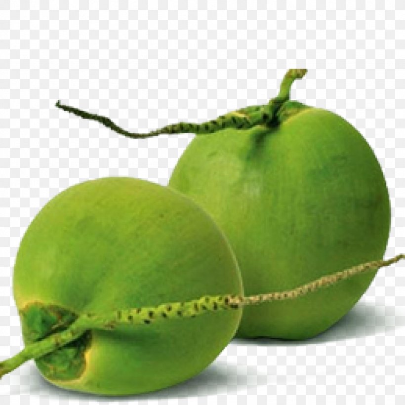 Coconut Water Drupe Fruit A To Z Exports And Imports(coconut Suppliers,wholesaler,seller,manufacturers In Pollachi), PNG, 1024x1024px, Coconut Water, Apple, Banana, Coconut, Diet Food Download Free
