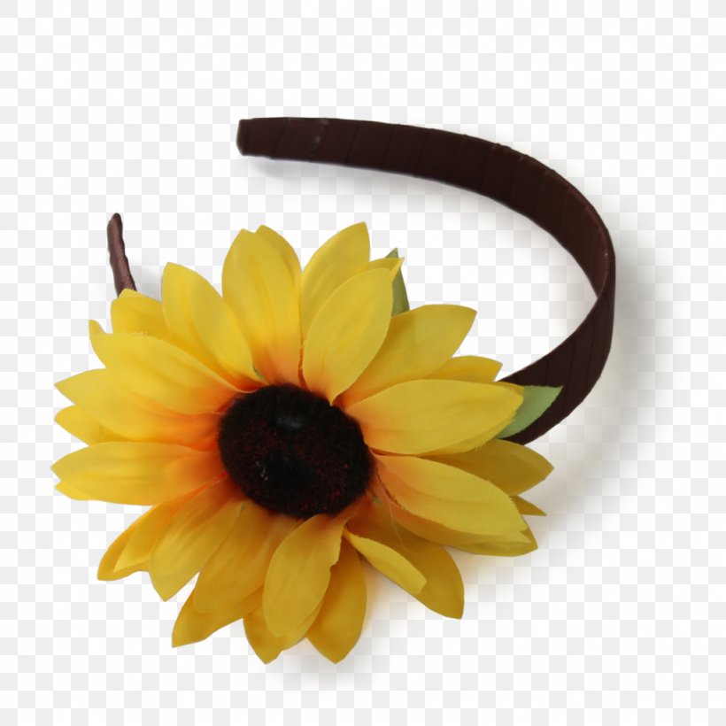 Flower Crown Headband Wreath Petal, PNG, 1024x1024px, Flower, Boutique, Common Sunflower, Crown, Daisy Family Download Free