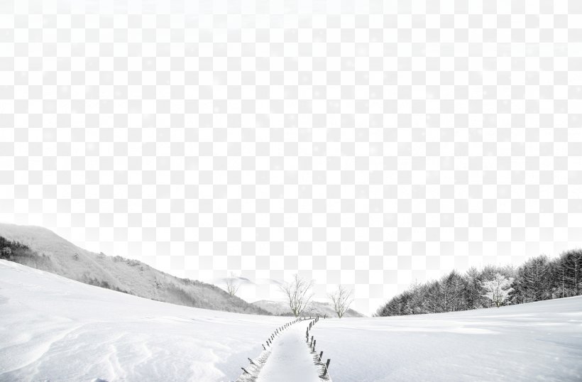 Snow Winter Google Images, PNG, 1667x1095px, Snow, Black And White, Blizzard, Christmas, Google Images Download Free