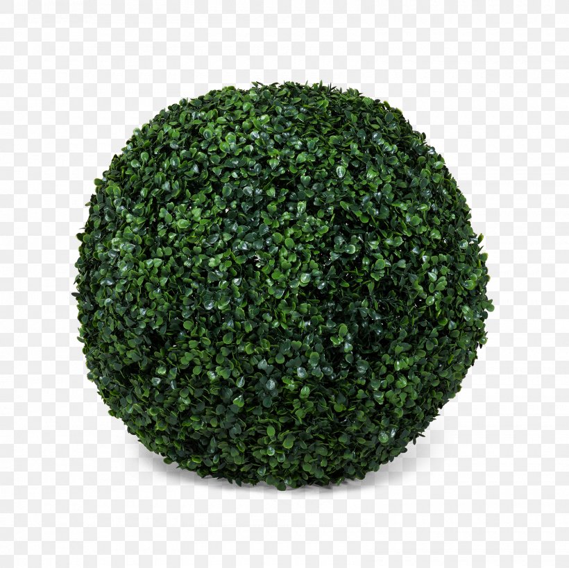 Tree Green Shrub, PNG, 1600x1600px, Tree, Grass, Green, Plant, Shrub Download Free