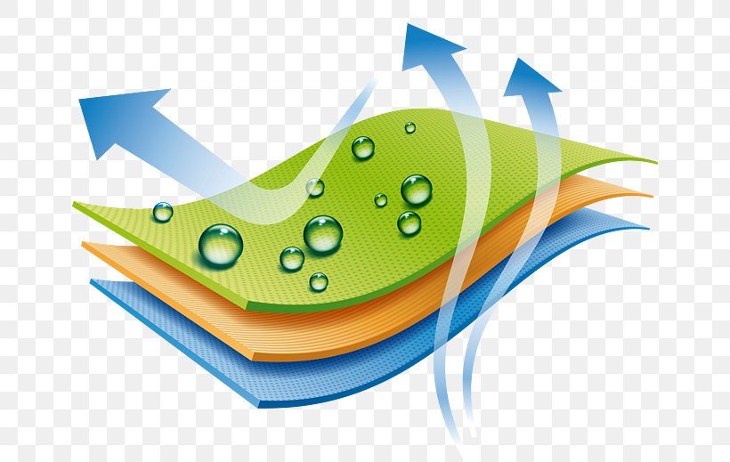 Waterproofing Canvas Shoe Gore-Tex Image, PNG, 658x519px, Waterproofing, Canvas, Fish, Goretex, Grass Download Free
