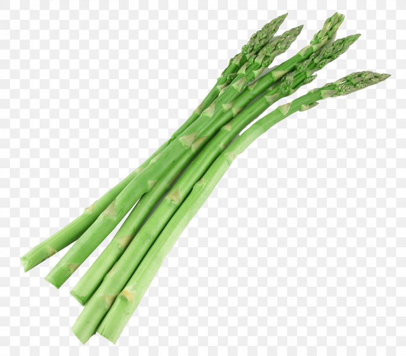 Asparagus Food Vegetable Broccoli, PNG, 1557x1368px, Asparagus, Bamboo Shoot, Broccoli, Cauliflower, Commodity Download Free