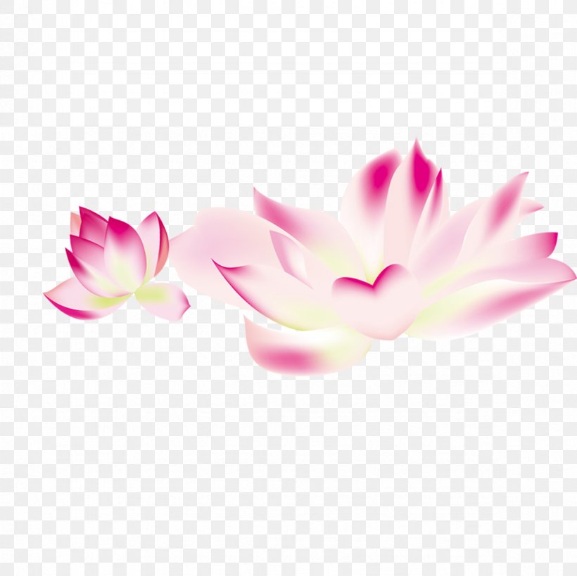 Flower Clip Art, PNG, 1181x1181px, Flower, Blossom, Flowering Plant, Herbaceous Plant, Magenta Download Free