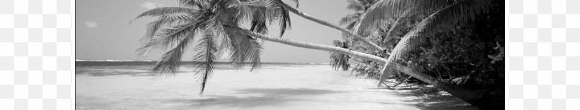 Viceroy Riviera Maya Waikīkī Beach Desktop Wallpaper Tulum Municipality, PNG, 1260x240px, Beach, Artwork, Black, Black And White, Drawing Download Free