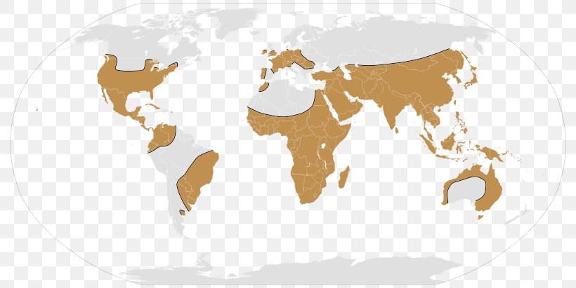 World Map Globe, PNG, 800x411px, World, Atlas, Blank Map, Carnivoran, Cattle Like Mammal Download Free