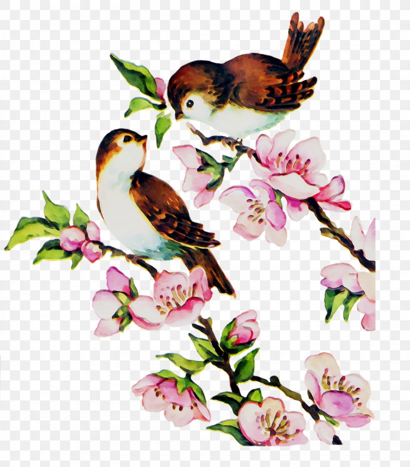 Floral Design Illustration Insect Flower, PNG, 2155x2452px, Floral Design, Beak, Bird, Blossom, Branch Download Free