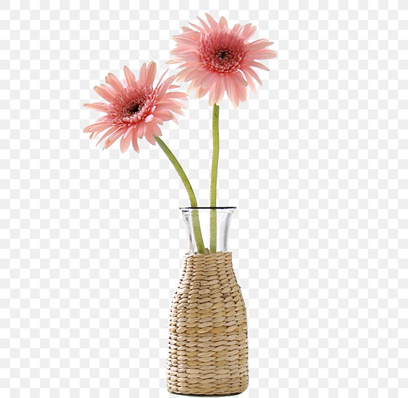 Flower Transvaal Daisy Floral Design Icon, PNG, 800x800px, Flower, Artificial Flower, Chrysanthemum, Cut Flowers, Floral Design Download Free