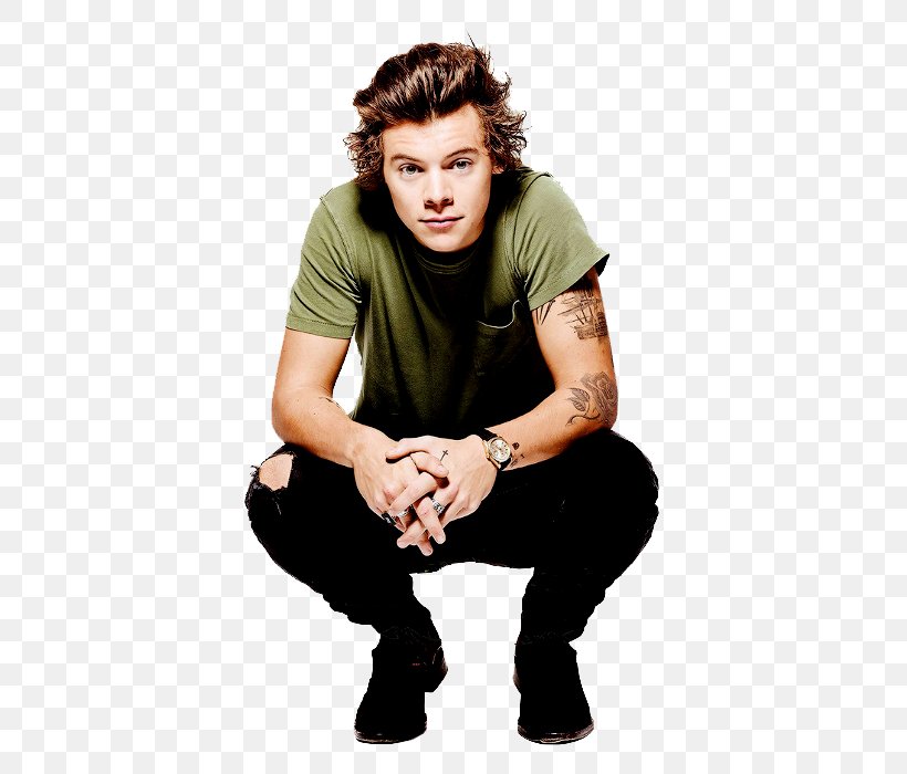 Harry Styles Holmes Chapel One Direction Don't Let Me Go Calendar, PNG, 500x700px, Watercolor, Cartoon, Flower, Frame, Heart Download Free
