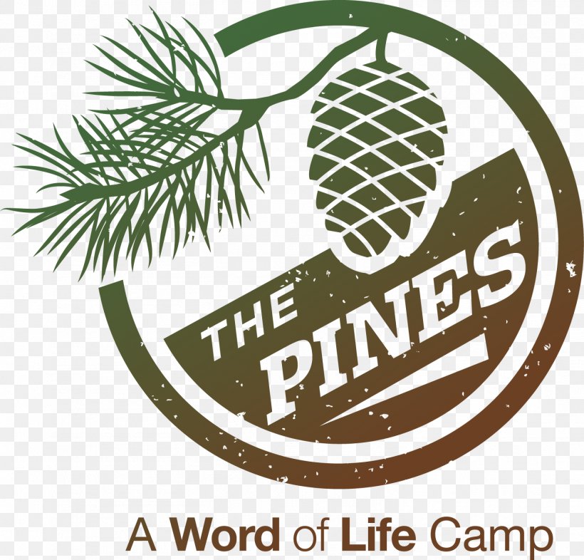 Logo Pine Brand Font, PNG, 1466x1406px, Logo, Area, Brand, Conifer, Family Download Free