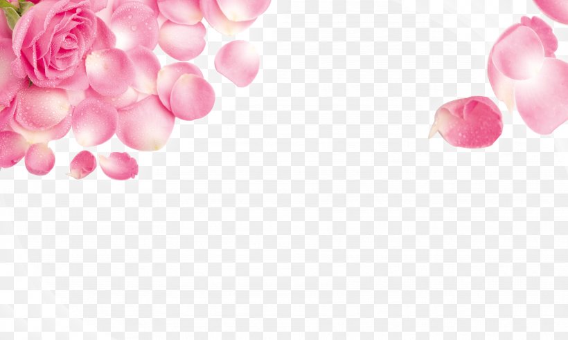 Rose Pink Stock.xchng Wallpaper, PNG, 3543x2126px, Rose, Display Resolution, Flower, Flower Bouquet, Free Download Free