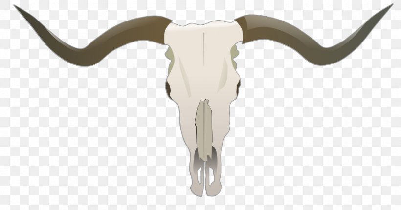 Texas Longhorn English Longhorn Skull Goat Bull, PNG, 900x472px, Watercolor, Cartoon, Flower, Frame, Heart Download Free