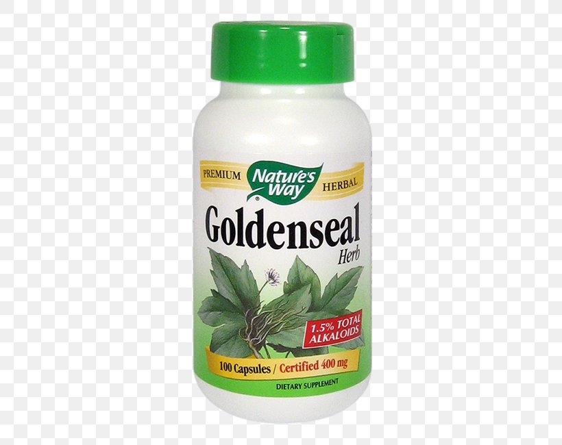 Dietary Supplement Greater Burdock Goldenseal Herb Capsule, PNG, 650x650px, Dietary Supplement, Burdock, Capsule, Extract, Food Download Free