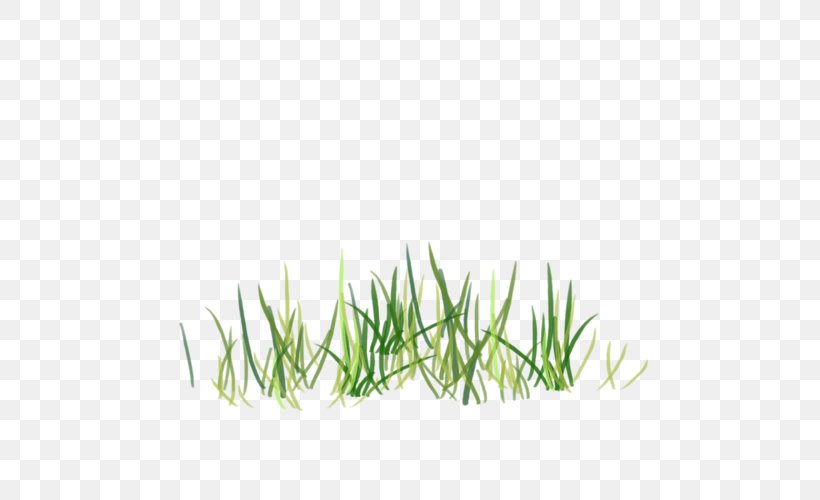 Green Grass Clip Art, PNG, 500x500px, Green, Aquarium Decor, Color, Commodity, Computer Software Download Free