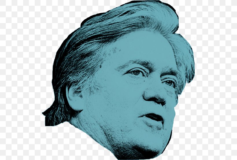 Stephen K. Bannon National Security Council White House Chief Strategist White House Press Secretary National Economic Council, PNG, 529x555px, Stephen K Bannon, Chin, Donald Trump, Face, Facial Hair Download Free