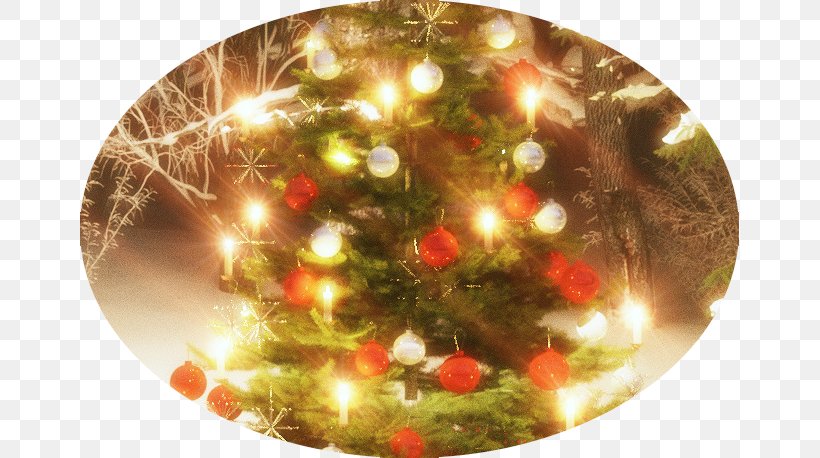 Christmas Ornament Christmas Tree Christmas Day, PNG, 659x458px, Christmas Ornament, Christmas, Christmas Day, Christmas Decoration, Christmas Tree Download Free