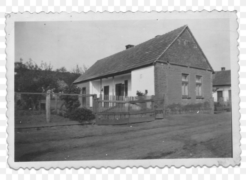 Dombóvár, Szőlőhegy House Jágónak Land Lot Real Estate, PNG, 800x600px, House, Almshouse, Black And White, Building, Child Download Free