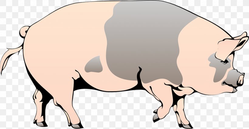 Domestic Pig Animation Clip Art, PNG, 960x498px, Domestic Pig, Animation, Cartoon, Cattle Like Mammal, Drawing Download Free