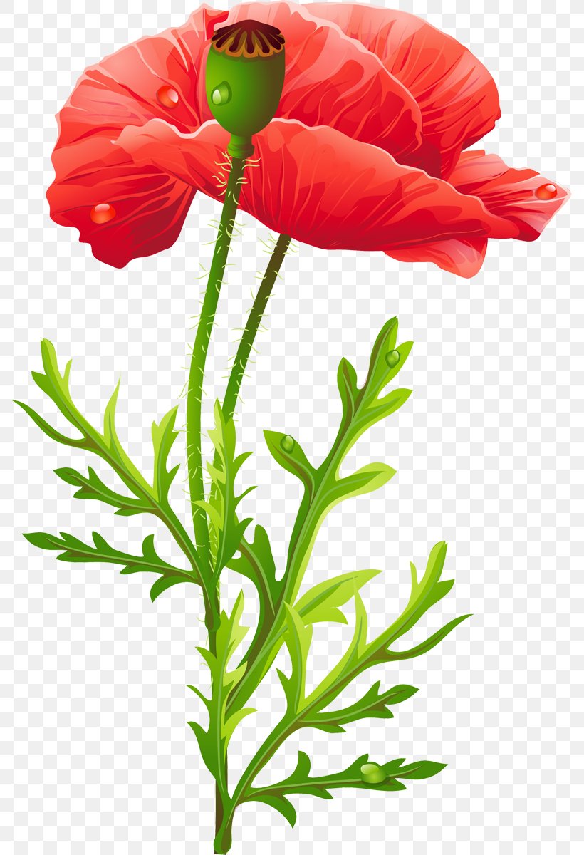 Poppy Flower Bead, PNG, 787x1200px, Poppy, Annual Plant, Bead, Bead Embroidery, Blume Download Free