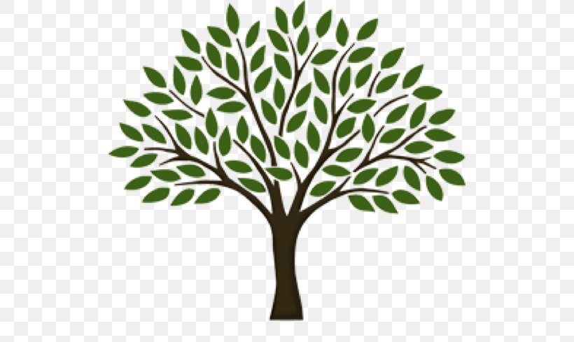 Tree Desktop Wallpaper Clip Art, PNG, 511x489px, Tree, Branch, Drawing, Forest, Itree Download Free