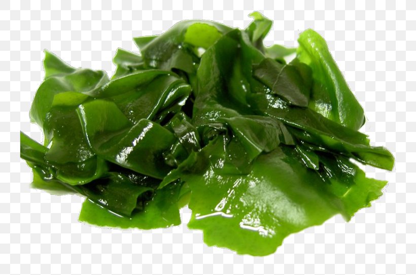 Japanese Cuisine Wakame Seaweed Kelp Miso Soup, PNG, 768x542px, Japanese Cuisine, Algae, Aonori, Choy Sum, Collard Greens Download Free