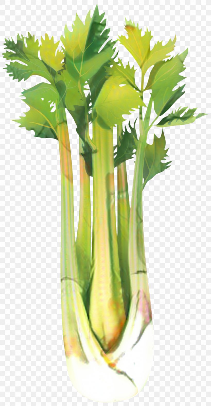 Flower Background, PNG, 999x1921px, Celeriac, Celery, Flower, Food, Greens Download Free