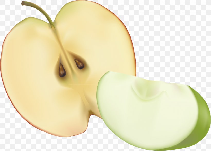 Granny Smith Apple Computer File, PNG, 1610x1155px, Granny Smith, Apple, Diet Food, Ear, Food Download Free
