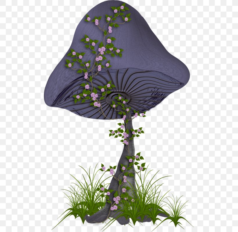 Purple Mushroom Violet Clip Art, PNG, 518x800px, Purple, Cartoon, Color, Flora, Flowerpot Download Free