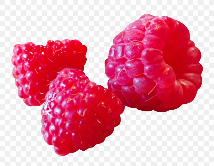 Raspberry Frutti Di Bosco Redcurrant Boysenberry Blackcurrant, PNG, 1625x1261px, Raspberry, Amora, Berry, Blackberry, Boysenberry Download Free