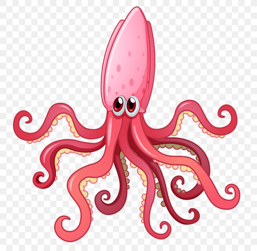 Squid As Food Octopus Clip Art, PNG, 763x800px, Squid, Cephalopod, Drawing, Giant Squid, Invertebrate Download Free