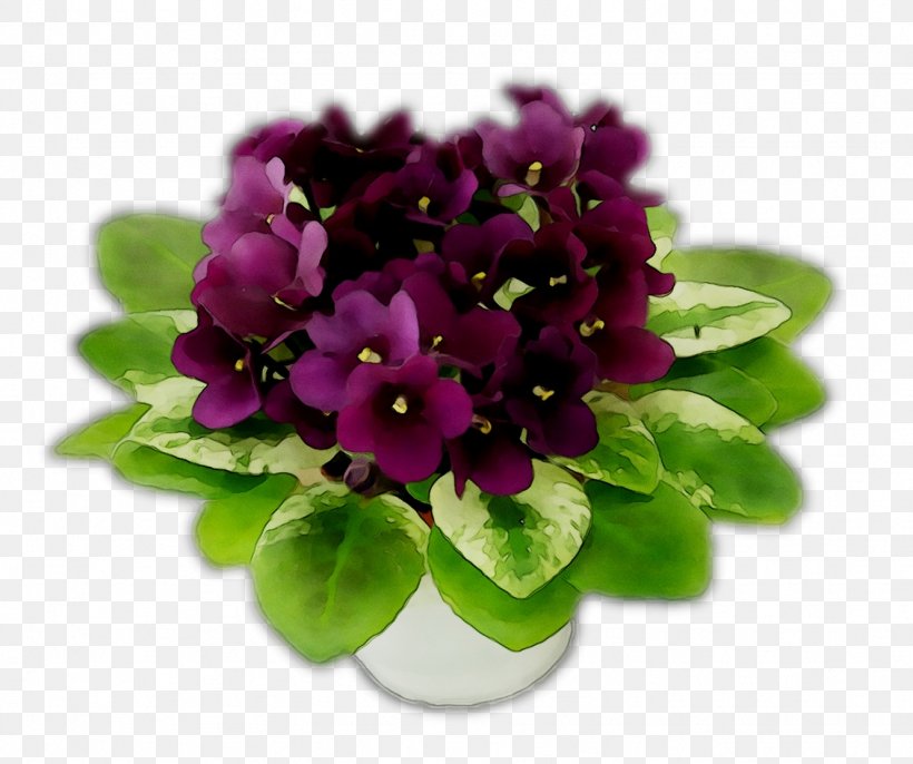 Violet Herbaceous Plant Flower Plants Violaceae, PNG, 1331x1115px, Violet, Artificial Flower, Bouquet, Cut Flowers, Flower Download Free