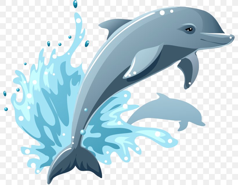 Cartoon Drawing Dolphin Clip Art, PNG, 800x638px, Cartoon, Art, Common Bottlenose Dolphin, Dolphin, Drawing Download Free