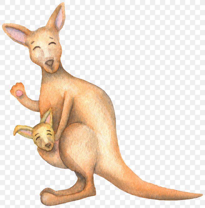 Kangaroo Cartoon Graphic Design, PNG, 1024x1040px, Kangaroo, Animation, Art, Carnivoran, Cartoon Download Free
