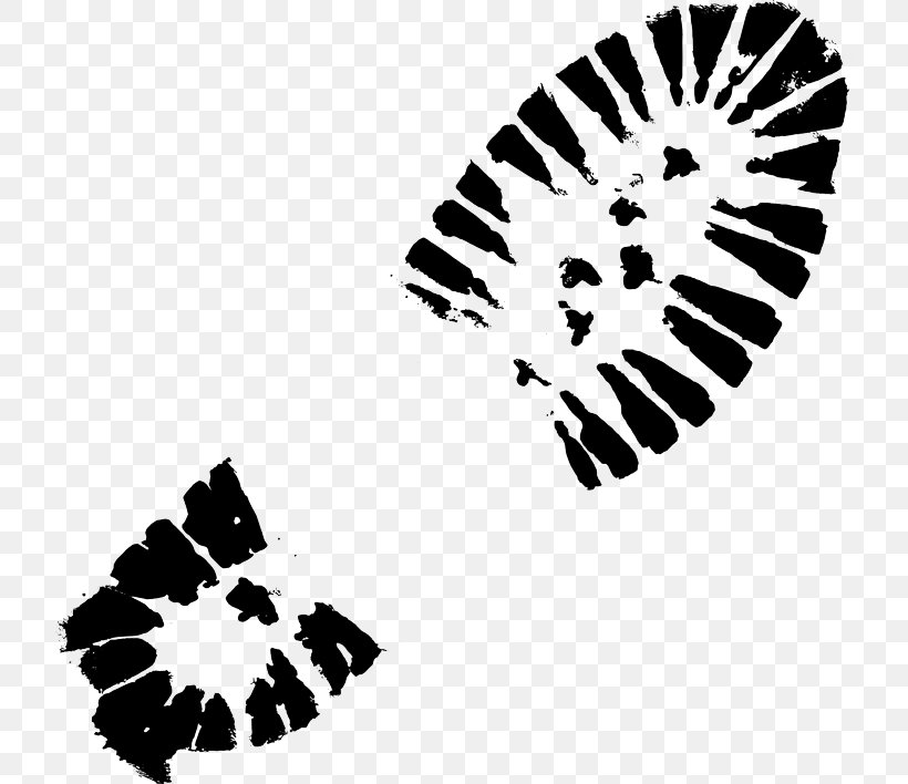 Transparency Clip Art Image, PNG, 720x708px, Footprint, Black, Black And White, Butterfly, Camera Download Free