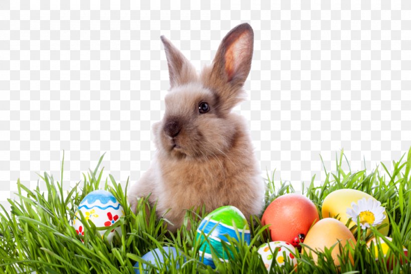 The Easter Bunny Easter Egg Egg Hunt, PNG, 1000x667px, Easter Bunny, Basket, Child, Dog Breed, Domestic Rabbit Download Free