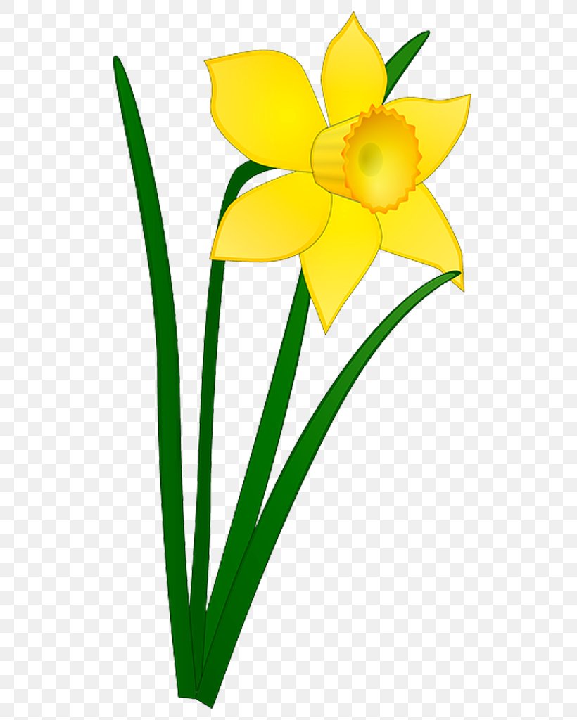 Daffodil Drawing I Wandered Lonely As A Cloud Clip Art, PNG, 768x1024px, Daffodil, Amaryllis Family, Cut Flowers, Drawing, Flora Download Free