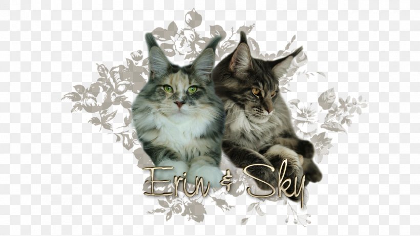 Kitten Cat Tail Wildlife, PNG, 1366x768px, Kitten, Carnivoran, Cat, Cat Like Mammal, Fauna Download Free