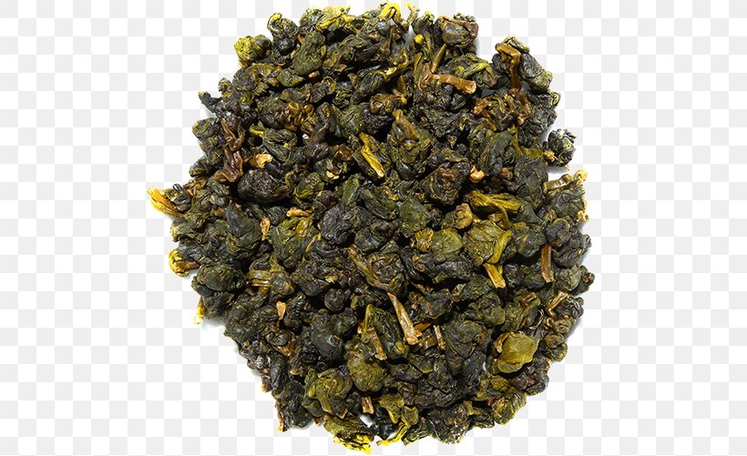 Oolong Nilgiri Tea Tieguanyin Assam Tea Da Hong Pao, PNG, 501x501px, Oolong, Assam Tea, Ceylan, Ceylon Tea, Da Hong Pao Download Free