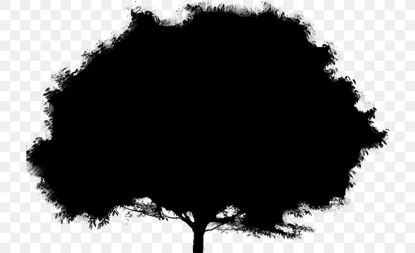 Tree Black & White, PNG, 718x500px, Tree, Black, Black M, Black White M, Blackandwhite Download Free