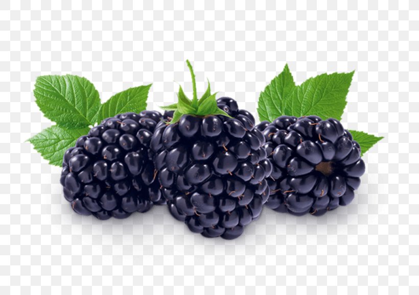 Boysenberry Fruit Dewberry Auglis, PNG, 770x578px, Boysenberry, Aroma, Auglis, Berry, Bilberry Download Free